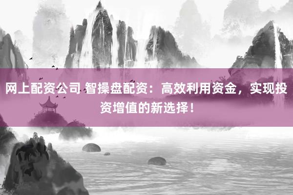 网上配资公司 智操盘配资：高效利用资金，实现投资增值的新选择！