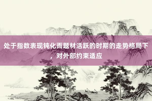处于指数表现钝化而题材活跃的时期的走势格局下，对外部约束适应