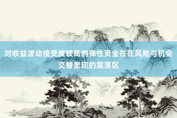 对收益波动接受度较高的弹性资金在在风险与机会交替显现的震荡区