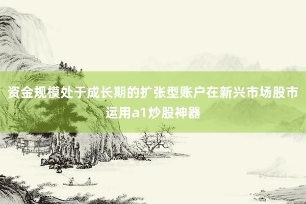 资金规模处于成长期的扩张型账户在新兴市场股市运用a1炒股神器