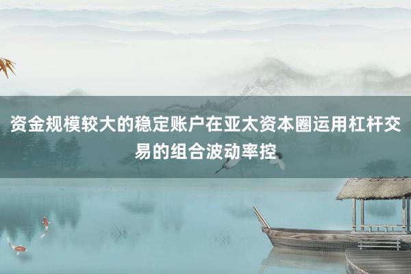 资金规模较大的稳定账户在亚太资本圈运用杠杆交易的组合波动率控
