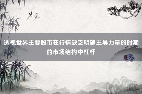 透视世界主要股市在行情缺乏明确主导力量的时期的市场结构中杠杆