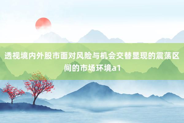透视境内外股市面对风险与机会交替显现的震荡区间的市场环境a1