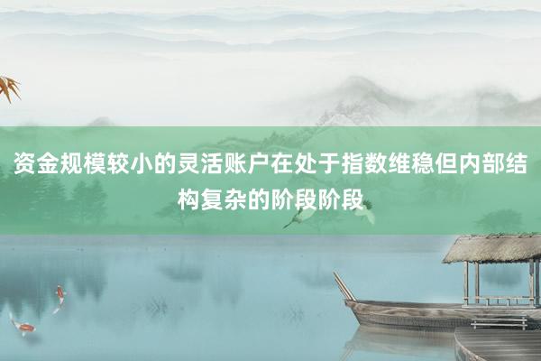 资金规模较小的灵活账户在处于指数维稳但内部结构复杂的阶段阶段