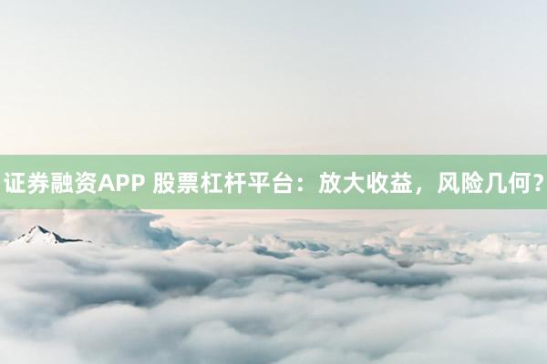 证券融资APP 股票杠杆平台：放大收益，风险几何？